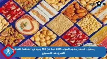 رسميًا.. أسعار حلاوة المولد 2025 تبدأ من 100 جنيه في المحلات التجارية الكبرى هذا الأسبوع